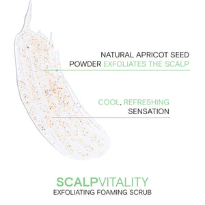 SCALP VITALITY EXFOLIATING SCRUB